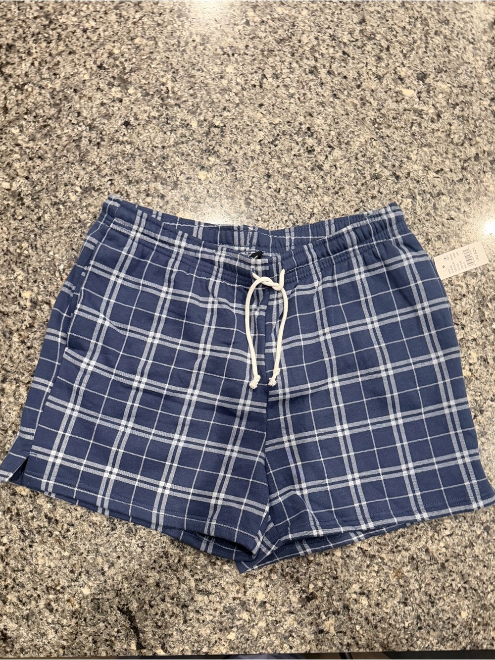 PacSun Men’s Blue Plaid Drawstring Athletic Shorts